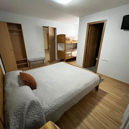 Guest house Pensiunea Lu' Movila *