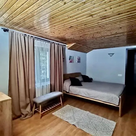 Pensiunea Lu' Movila * Durau
